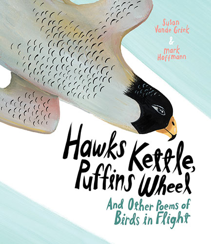 Yellow-Cedar-04-Hawks-Kettle-Puffins-Wheel