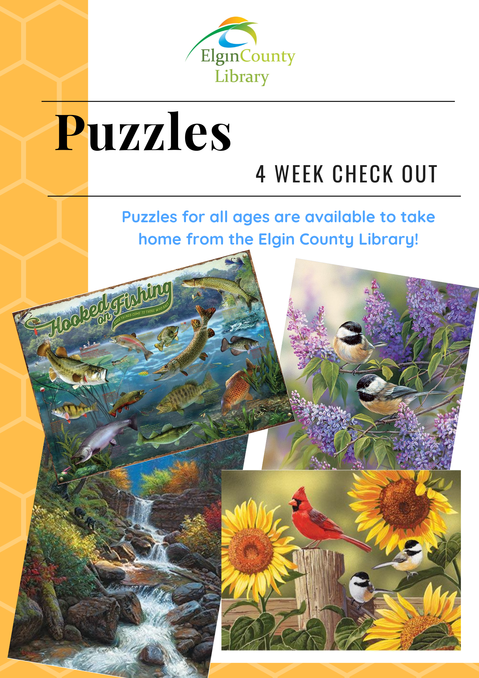 puzzle poster with some pictures of examples of puzzles