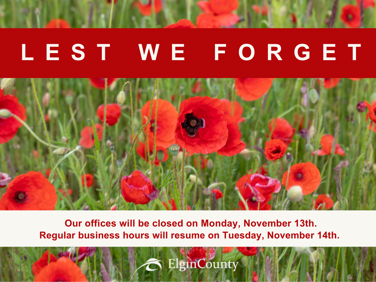 Our offices will be closed on Monday, November 13th. Regular business hours will resume on Tuesday, November 14th.